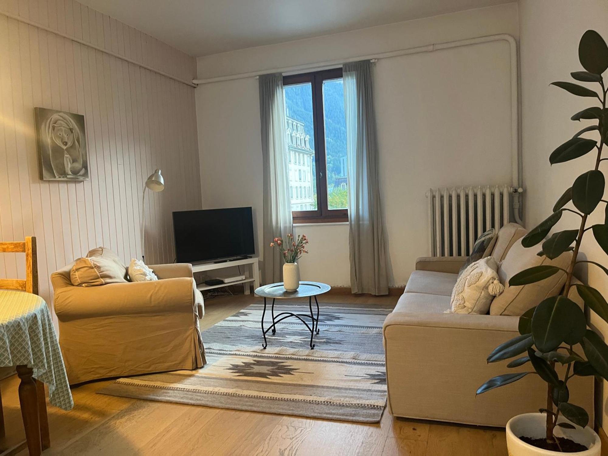 Appartement Alexandra シャモニー エクステリア 写真